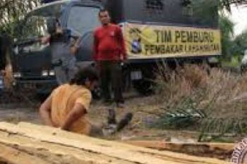 Polda Riau Tangkap Pelaku Pembalakan Liar