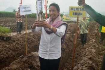 Target Swasembada Gula