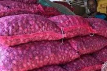  Polda Riau Amankan 15 Ton Bawang Selundupan