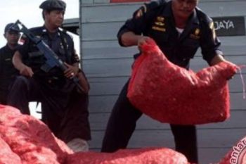 Bea Cukai Bengkalis Amankan 49.650 Kg Bawang Ilegal