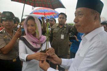 Target Swasembada Gula