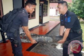 Warga Sentani temukan bom peninggalan PD II