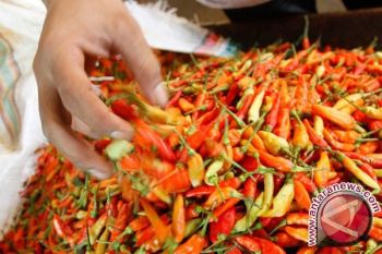 Harga cabai di Manado naik 53 persen