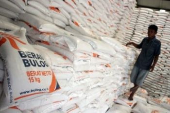 Lebih Berkualitas, Raskin Hasil Serapan 2015 Segera Didistribusikan
