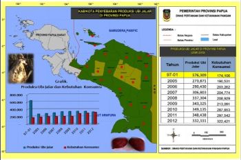 Pemprov Papua dorong kabupaten/kota susun peta ketahanan pangan