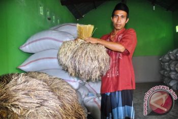 Ntb bentuk tim pemantau harga gabah