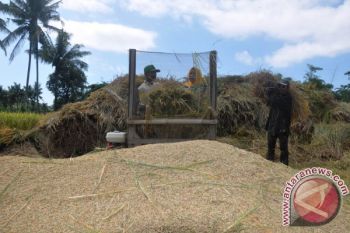 NTB segera cairkan dana stabilisasi gabah