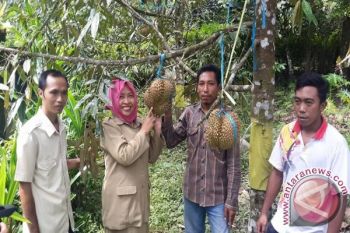 30 persen penyuluh kehutanan NTB akan pensiun