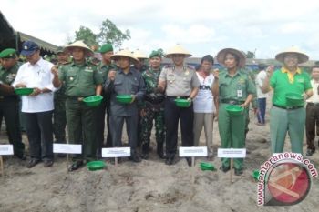 Pencapaian Swasembada Pangan di Kobar Dikawal Pemkab - TNI