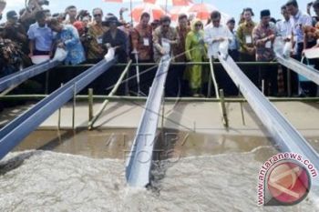 Wakil Presiden lepas rajungan ke Laut Takalar 