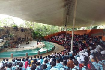 Pengunjung wisata Lembah Hijau naik 30 persen