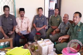 Masyarakat Pesisir Kobar Suka Nikahkan Anak Dibawah Umur