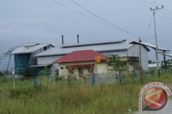 Budidaya Jagung di Kobar Akan Dibenahi