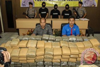 Polres Lampung Selatan Gagalkan Penyelundupan Ganja Kering