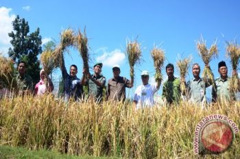 Pemkab Lombok Utara dorong petani terapkan pupuk berimbang