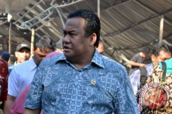Kemendag Masih Pelajari Temuan Beras Palsu