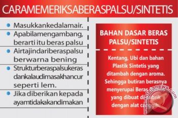 Kalimantan Tengah Waspada Masuknya Beras Sintetis