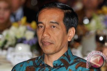 Presiden Jokowi Soal Beras Sintetis 