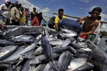 Indonesia Kurang Nikmati Hasil Laut