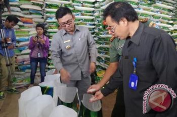 Bupati Kobar  Sidak ke Harga Beras Jelang Ramadhan