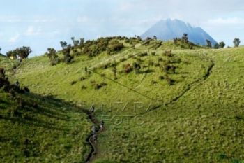 Lima Pendaki Merbabu Ditemukan Selamat