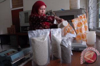 Pengamat : Beras Sintetis Hambat Pengembangan Beras Analog