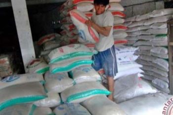 Jelang Ramadhan Stok Beras Di Indonesia Cukup Aman