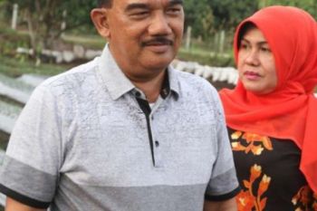 Jefry Noer Dikenal Hingga Bukittinggi