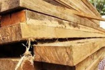 Polres Rohil Amankan 20 Ton Kayu Ilegal