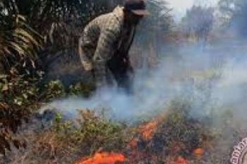 Polres Dumai Amankan Seorang Terduga Pembakar Lahan