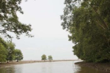 Indragiri Hilir Jadikan Pulau Basu Kawasan Konservasi