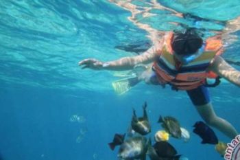 Konsep Wisata Hijau NTB Tuai Pujian Dari Dubes Korsel