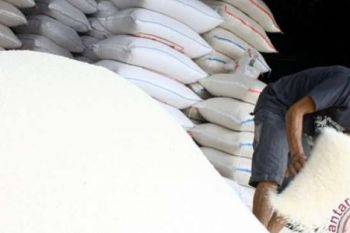 YLKI Riau Minta Pemerintah Antisipasi Penyebaran Beras Plastik