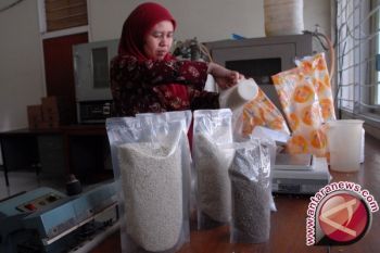 Pengamat: Beras Sintetis Hambat Pengembangan Beras Analog