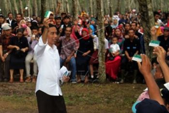 4,4 Juta Kartu Sehat Sudah Terdistribusi
