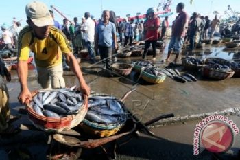 Pesisir Selatan Proses Pengajuan Klaim Asuransi Nelayan