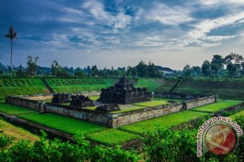 Sleman kembangkan Candi Sambisari untuk wisata malam 