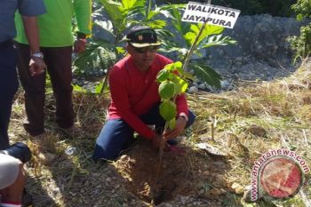 Pemkot Jayapura tanam 7.000 pohon di Kamp Walker