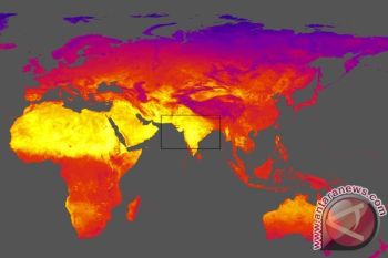 Cuaca Panas di India Timur Tewaskan 40 Orang