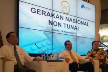 BI Papua belum bisa canangkan GNRT