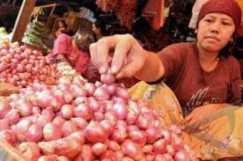 Harga Bawang Merah Mulai Turun