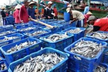 Pascatumpahan Minyak, Transaksi Lelang Ikan Merosot