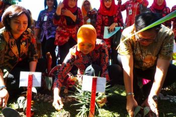 Masyarakat Diharap Manfaatkan Pekarangan Untuk Taman Herbal