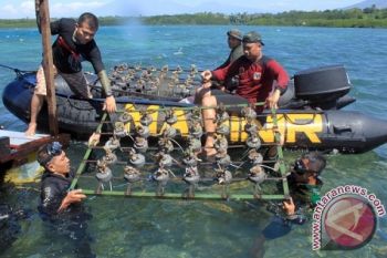 Marinir Tanam Karang 