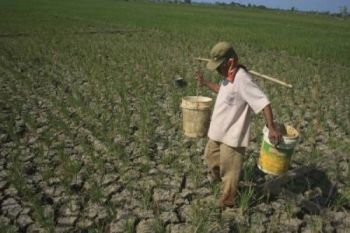 Temanggung Minta Tambahan Anggaran Antisipasi Kekeringan ke BNPB