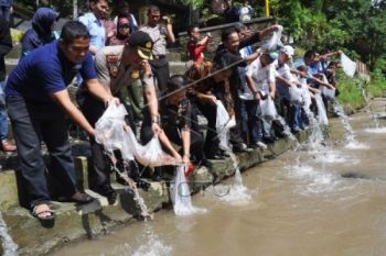 Temanggung Tebar 78.800 Benih Ikan di Enam Sungai