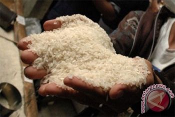 Kapolri Bertekad Ungkap Kasus Beras Plastik