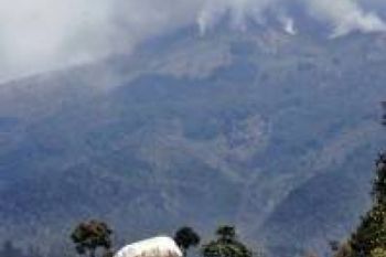 Hutan Lereng Gunung Sumbing Terbakar 