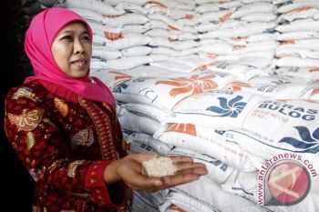 Mensos Minta Kepala Daerah Segera Serahkan SPA ke Bulog