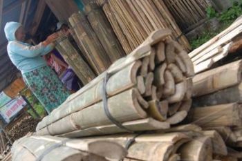 Pekalongan Kembangkan Produk Hutan Bukan Kayu